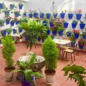  Apartamento Toril-casco Histórico
